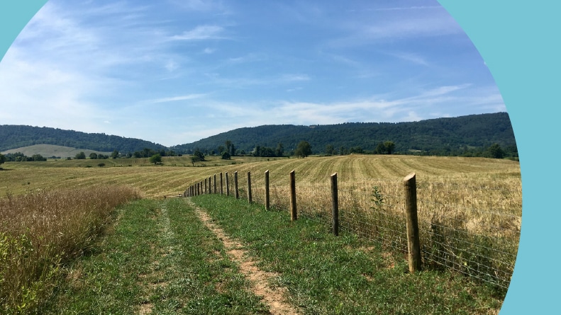 A hiking trail in Winchester, Virginia.