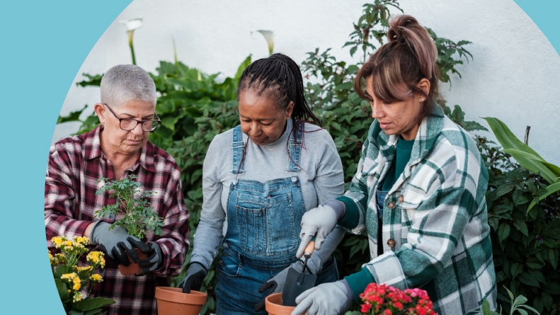 Three 55+ friends potting plants in a gardening club.