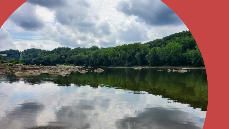 A view of the Potomac river and the trees that surround it.