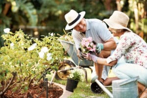 Dig In and Thrive: Why Gardening Is the Ultimate Retirement Hobby