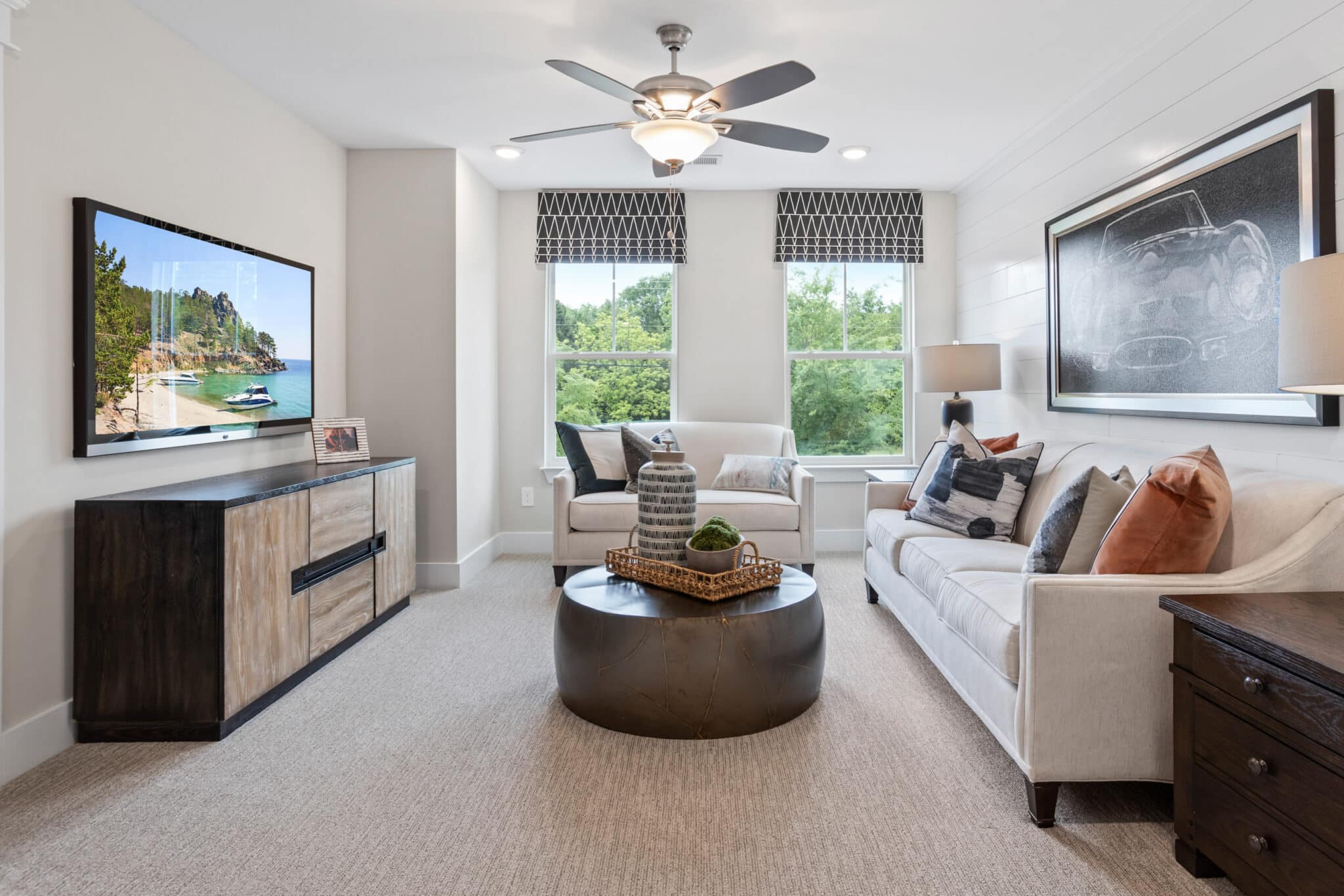 Living Room Entertainment Area