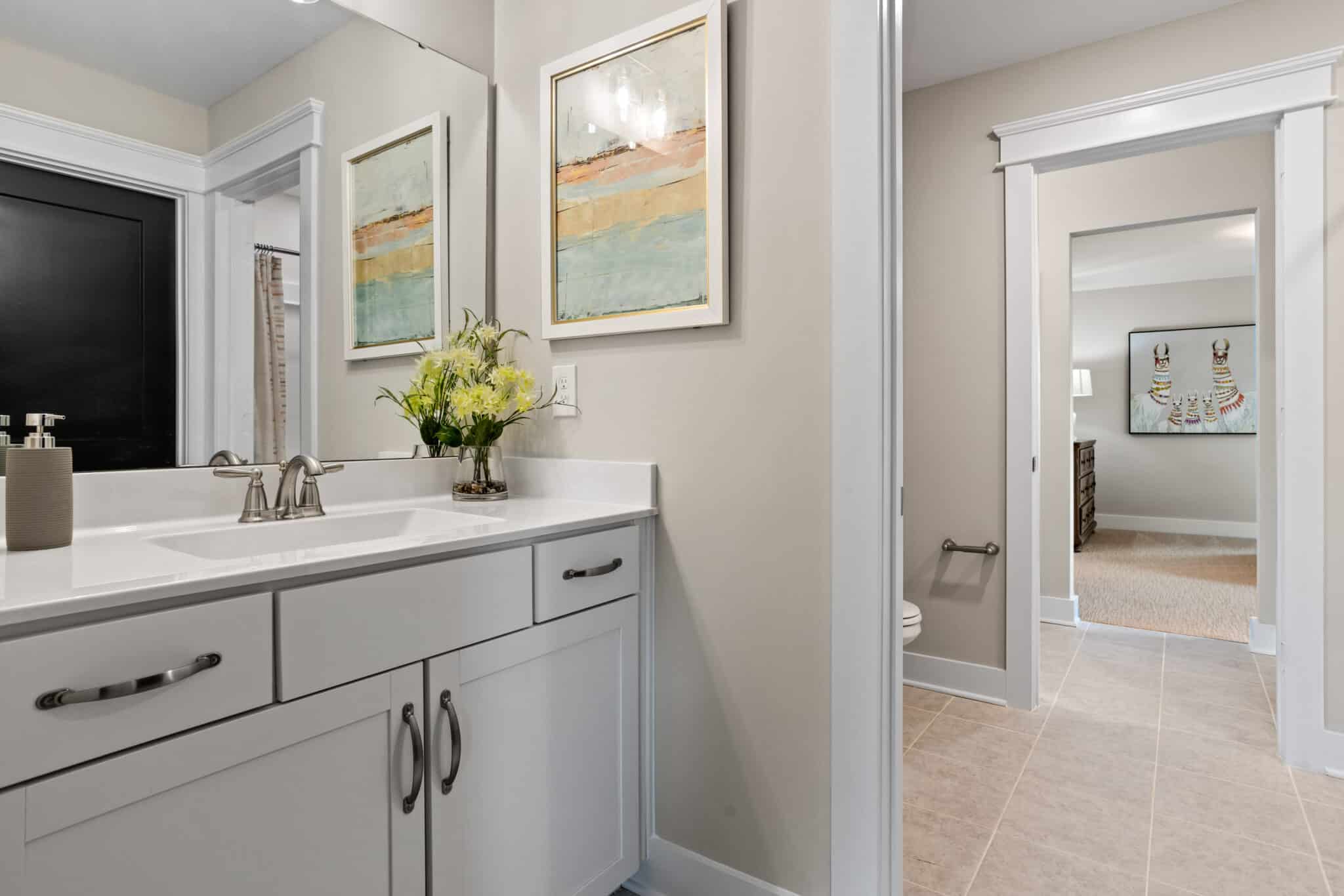 Bathroom Vanity Area