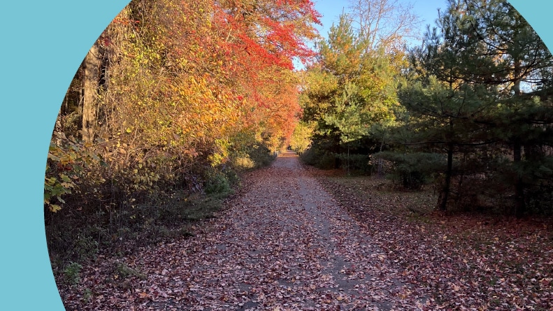 A walking path littered with fall leaves in Glassboro, New Jersey.