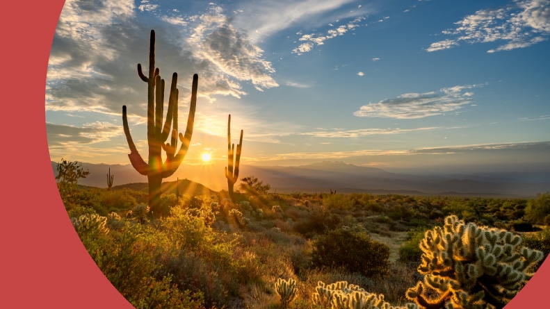 Sunrise in the Majestic McDowell Mountains in Scottsdale, Arizona.
