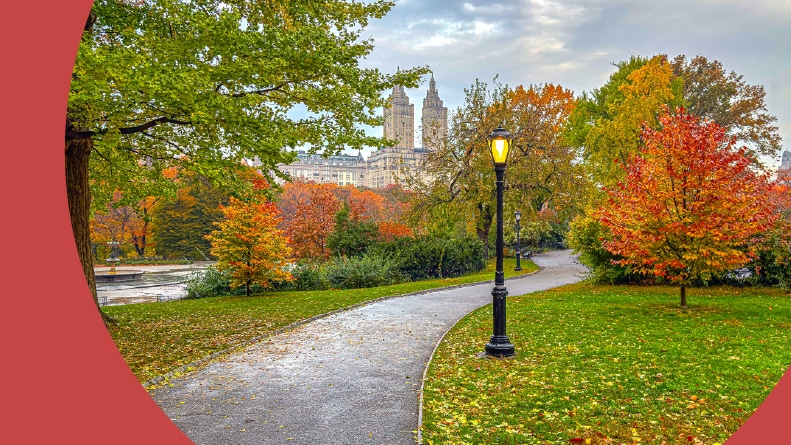 Central Park in New York City in autumn.