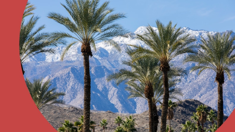 Mountains behind palm trees in Palm Springs, California.