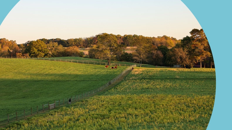 The beautiful scenery of Stroud Preserve before sunset in West Chester, Pennsylvania.