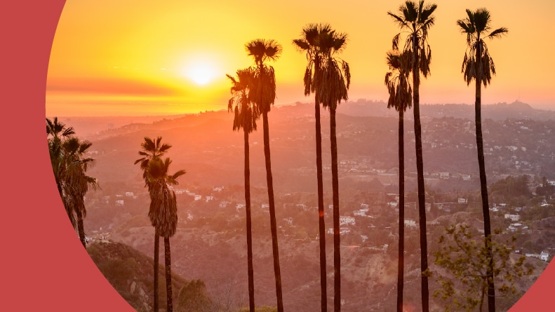 Palm trees at Griffith Park in Los Angeles, California at sunset.