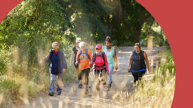 A senior group hiking in the forest for exercise, health, and wellness.