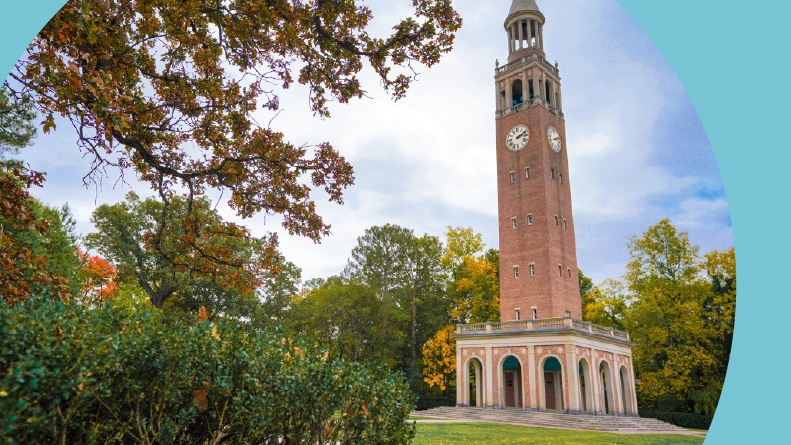 Trees surrounding the bell tower at UNC-Chapel Hill in North Carolina.