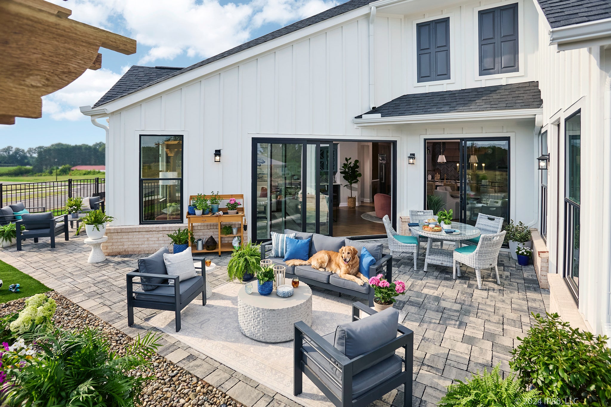 Courtyard patio with seating and dog