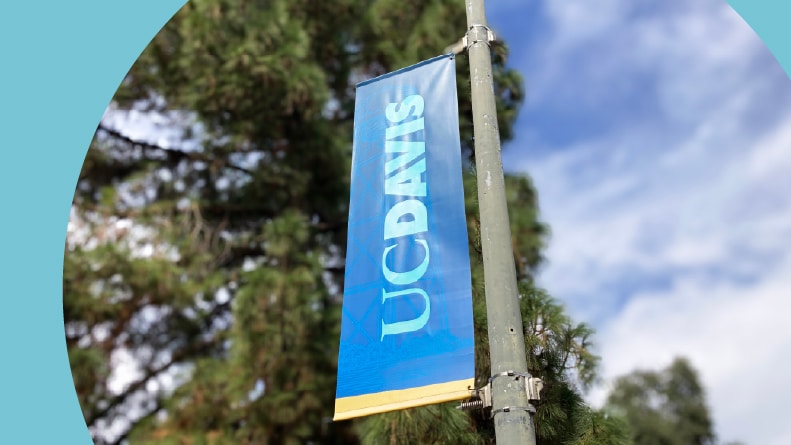 UC Davis banner on a street light pole at University of California, Davis.