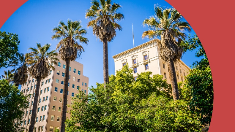 Palm trees along the street in Sacramento, California.