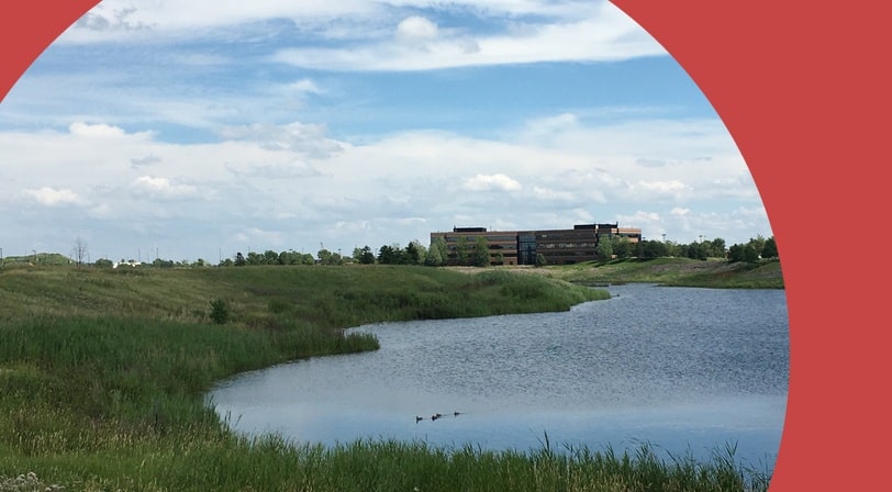 A pond beside a walking trail in Maple Grove, Minnesota.