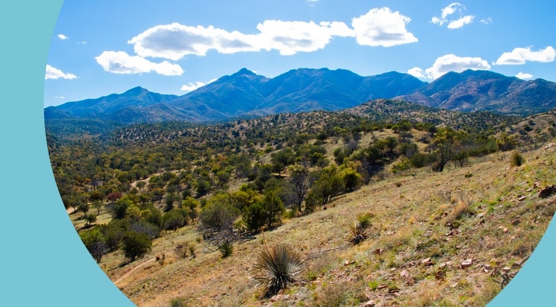 Arizona's Mt. Wrightson viewed from Gardner Valley, with desert trees and grassy fields.