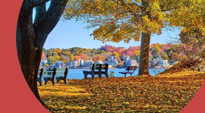 A fall day in a New England park.