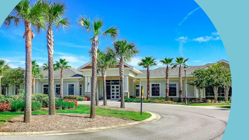 Palm trees lining the entrance to Sun City Hilton Head in Bluffton, South Carolina.