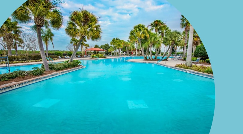 Palm trees beside the outdoor pool at Stone Creek, a 55+ community in Ocala, Florida.