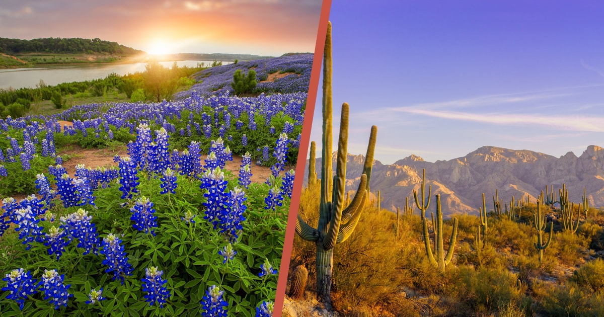 Texas vs. Arizona for Retirement: Which Is Right for You?