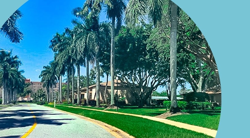 Palm trees lining the entrance to Villages of Oriole, a 55+ community in Delray Beach, Florida.