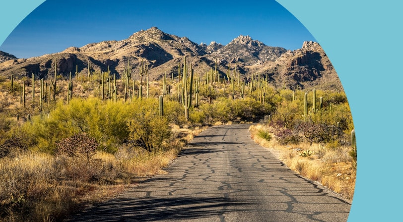 A quiet paved road running through saguaro cactus and desert scrub toward rugged mountains.