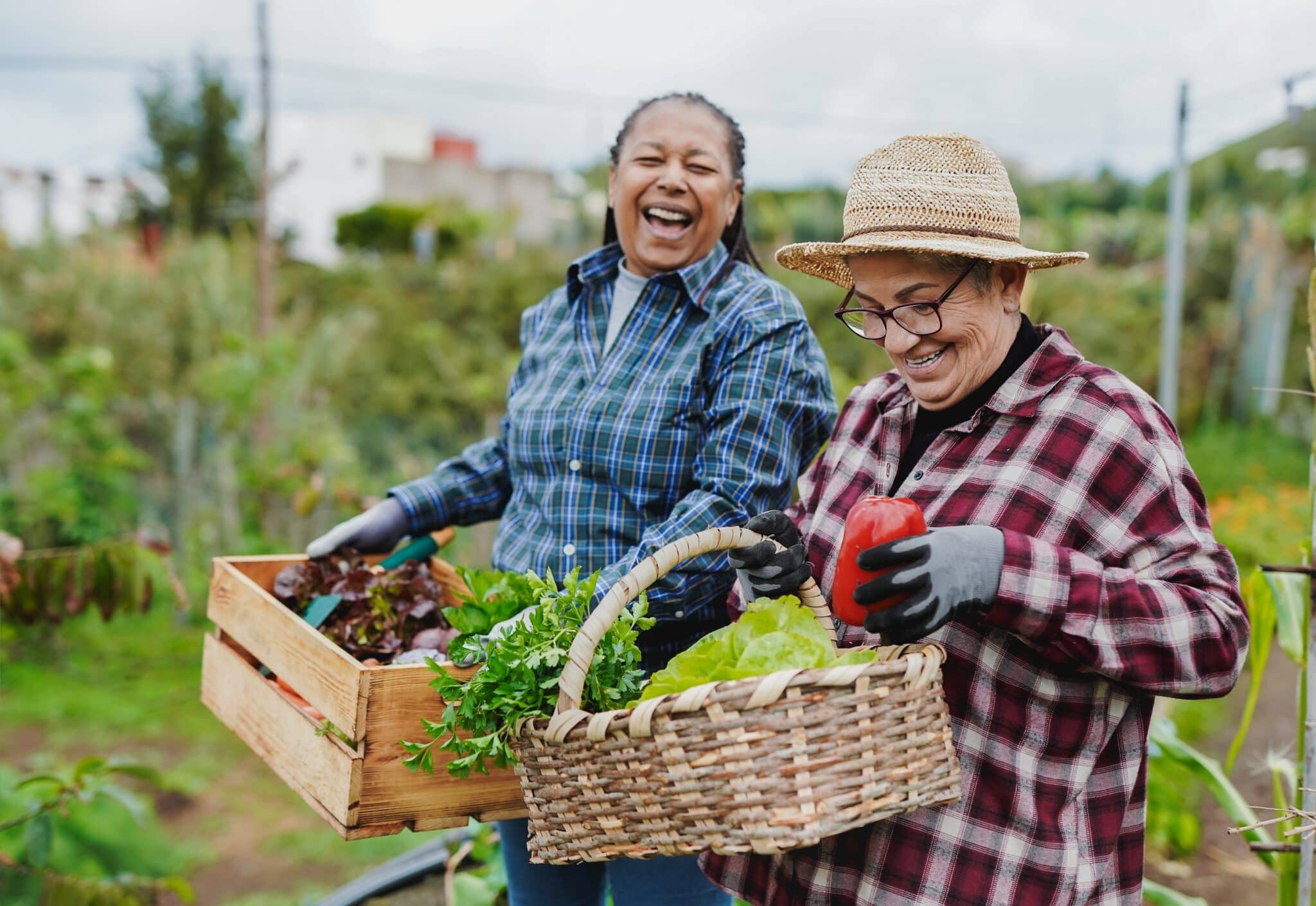 Are There 55+ Communities With Community Gardens? What to Know