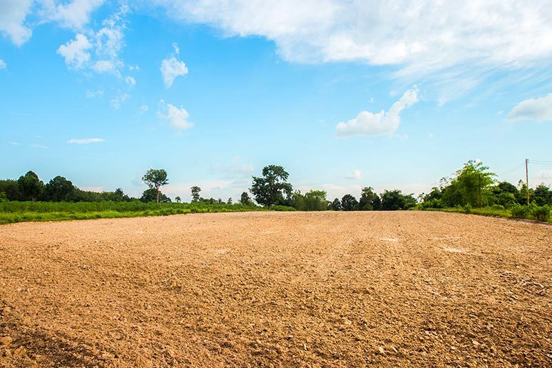 Plot of dirt with trees in the background.