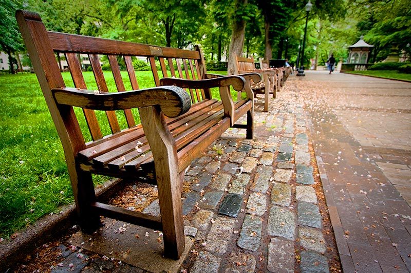 A bench in the Rittenhouse Square park in Philadelphia, Pennsylvania.
