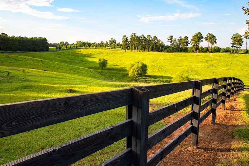 Idyllic horse ranch in Macon, Georgia.