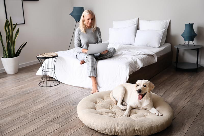 A mature woman at home sitting on her bed beside her dog lying on a pet bed.