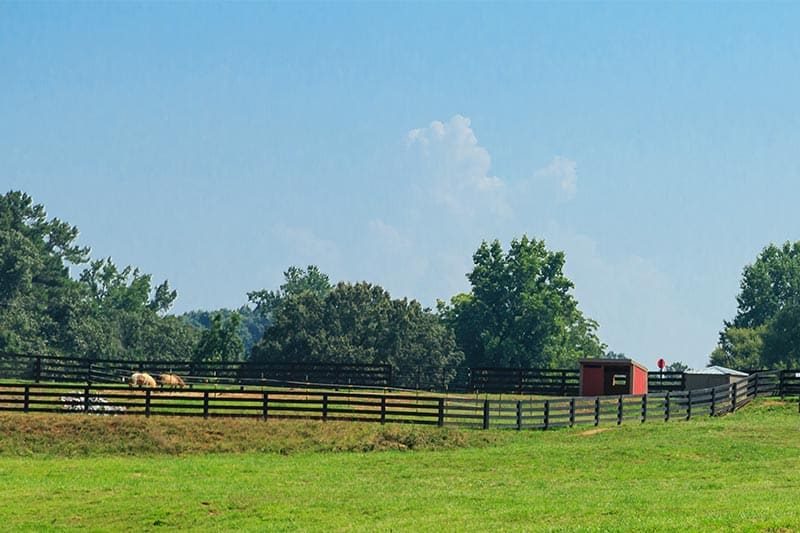 A pasture on a farm on a sunny day in Woodstock, Georgia.