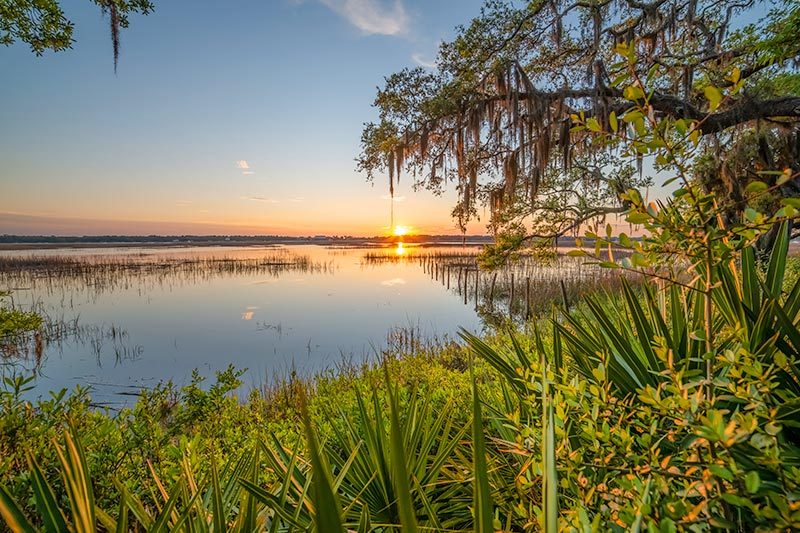 View of a sunset over a pond surrounded by greenery in Beaufort, South Carolina.