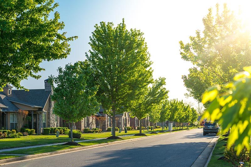 Modern residential houses on a neighborhood street in Bentonville, Arkansas.