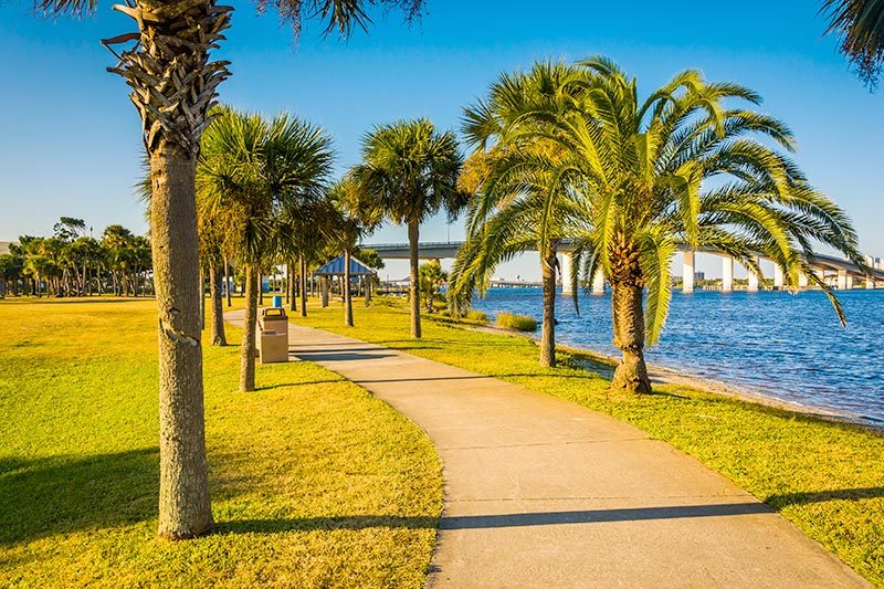 Palm trees along a path in Daytona Beach, Florida.