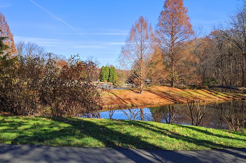 A paved path at a park in Silver Spring, Maryland.