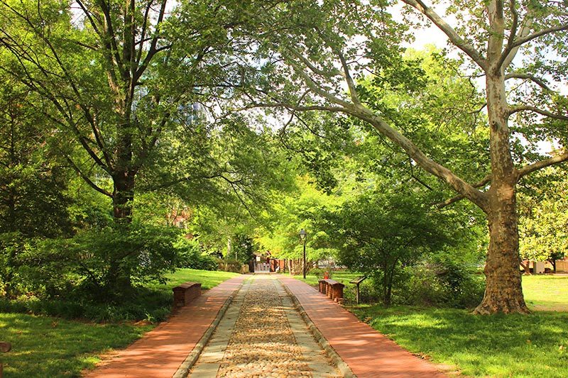A paved walkway in a park in Philadelphia, Pennsylvania on a sunny day.