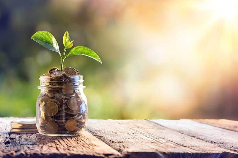 A small plant growing out of a jar filled with coins on a wooden table.