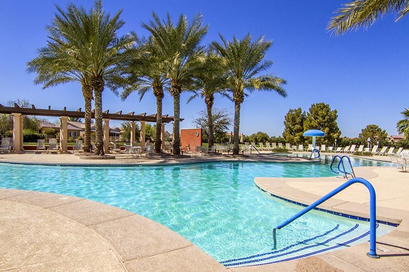 Palms trees and lounge chairs surrounding the outdoor pool at Province in Maricopa, Arizona.