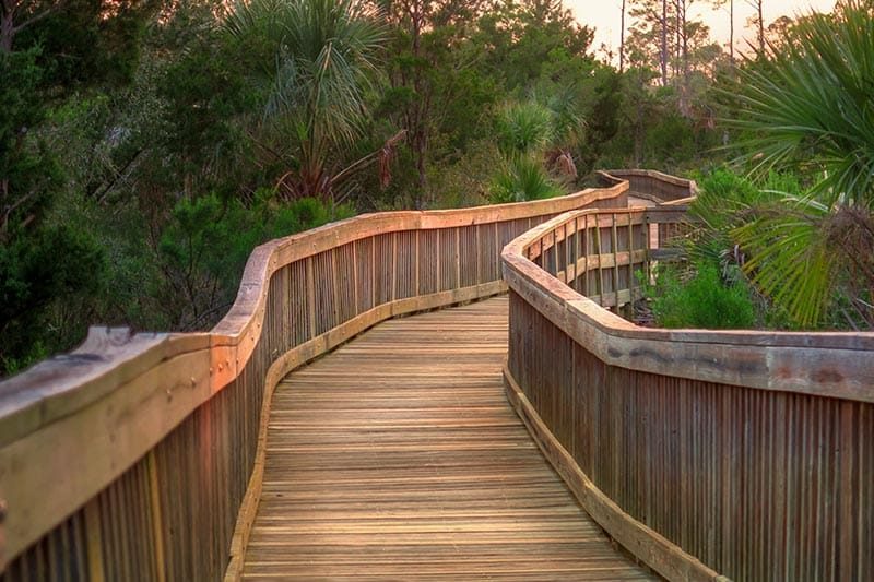 A raised boardwalk at Castaway Island Preserve Park in Jacksonville, Florida.