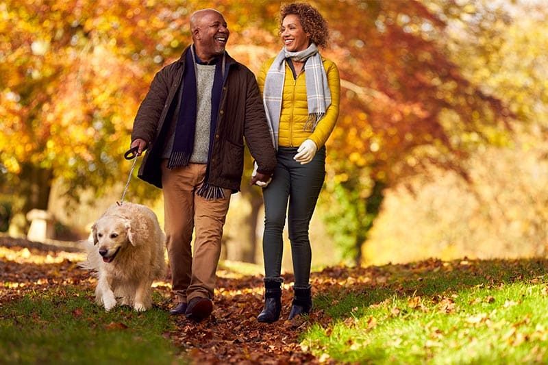 A senior couple walking with their golden retriever in the autumn countryside.