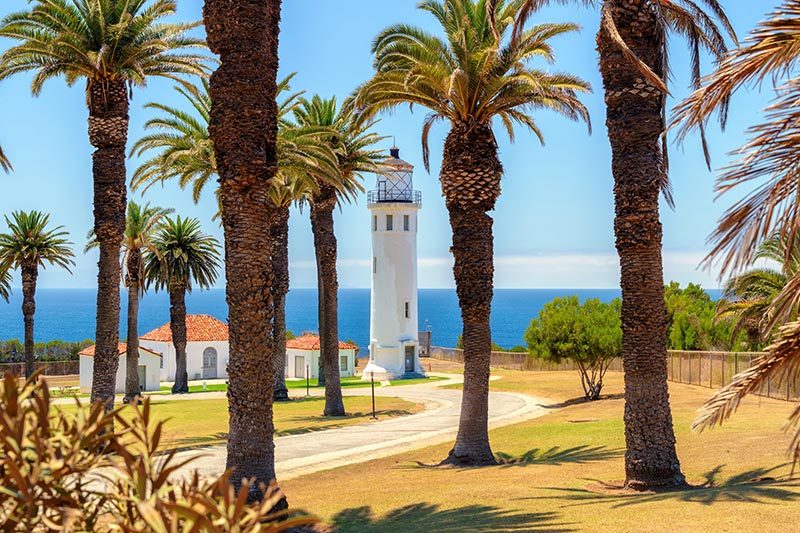 Palm trees around the Point Vicente Lighthouse in Ranchos Palos Verdes, California.