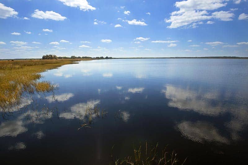 Lake Tohopekaliga at Twin Oaks Conservation Area in St. Cloud, Florida with abundant marsh wildlife.