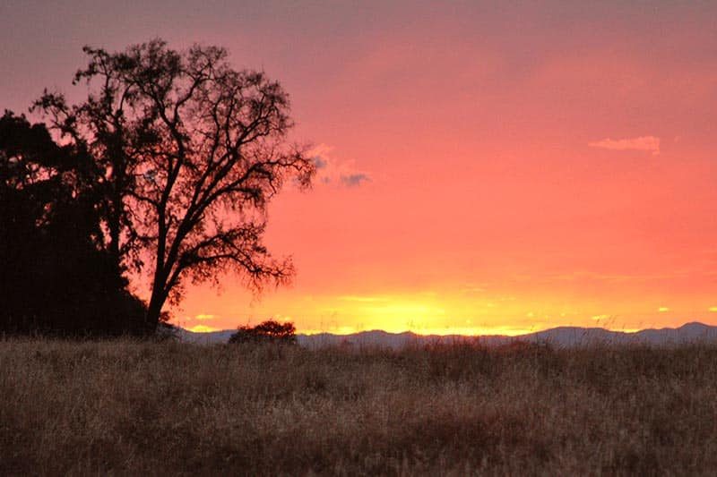 A sunset over a field in Roseville, California.