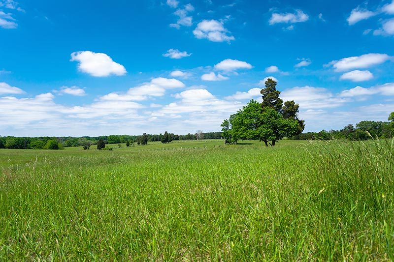 A field at Manassas National Battlefield Park in Virginia on a sunny day.