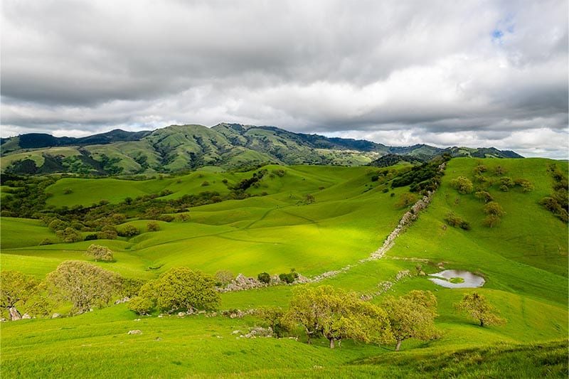 Green rolling hills in Walnut Creek California.
