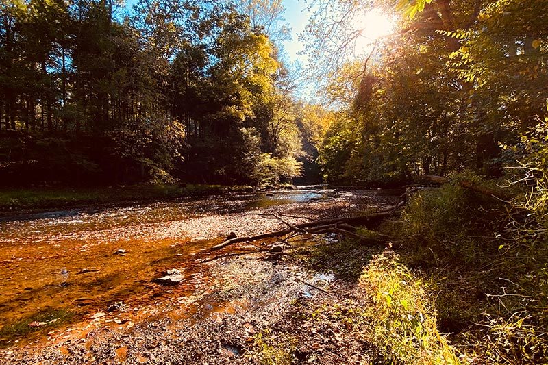A scenic view of a river flowing in the forest in White Clay Creek State Park in Newark, Delaware.